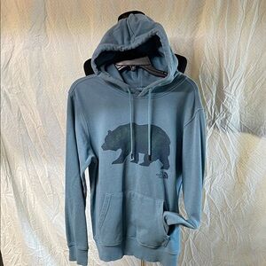 The North Face Teal Bear Graphic Hoodie